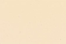 Mohawk Ultra Mark Wood Stain Touch Up Marker, Antique White, M280-0031, 1 Count