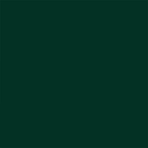 Rust-Oleum Stops Rust Door & Trim Paint, Satin Vermont Green - color: Satin Vermont Green