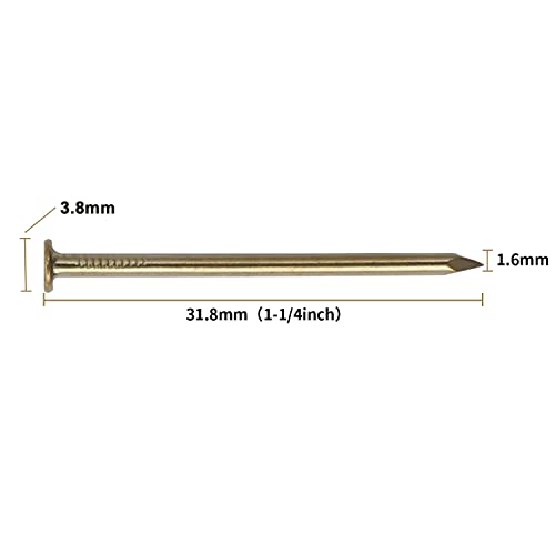JEGONFRI 450PCS 1-1/4" x 16Ga Brass Plated Nails for Hanging Pictures - color: Gold, size: 1-1/4 In , 450 Pcs