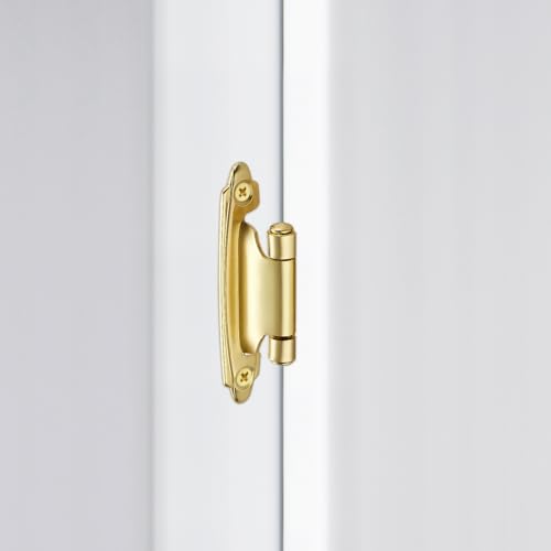 Gold Cabinet Hinges, 1/2 Inch Overlay, 10 Pack(5 Pairs) | Self-Closing Design, Semi-Concealed Face Frame Fit, Surface Mount, For Kitchen Doors, Cabinets, Hardware Updates - color: Gold