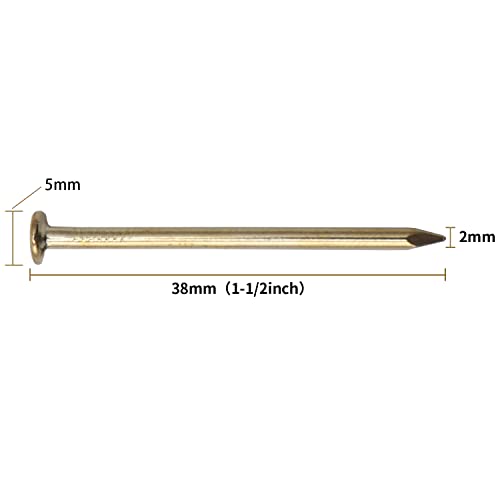 JEGONFRI 240PCS 1-1/2" x 14Ga Brass Plated Nails for Hanging Pictures - color: Gold, size: 1-1/2 In , 240 Pcs