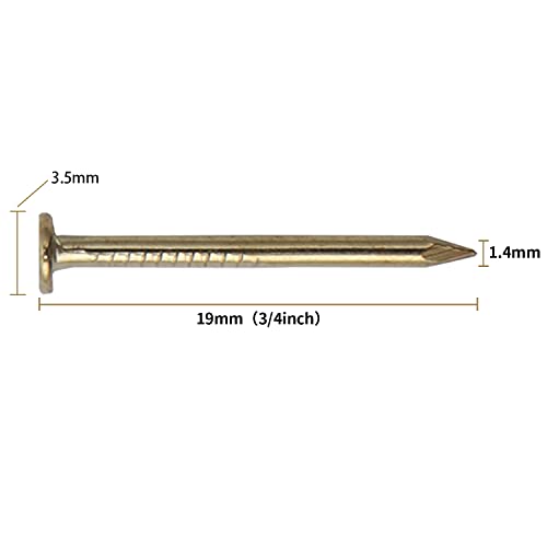JEGONFRI 900PCS 3/4" x 17Ga Brass Plated Finishing Nails - color: Gold, size: 3/4 In , 900 Pcs