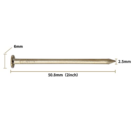 JEGONFRI 120PCS 2" x 13Ga Brass Plated Nails for Hanging Pictures &Woodwork - color: Gold, size: 2 In , 120 Pcs