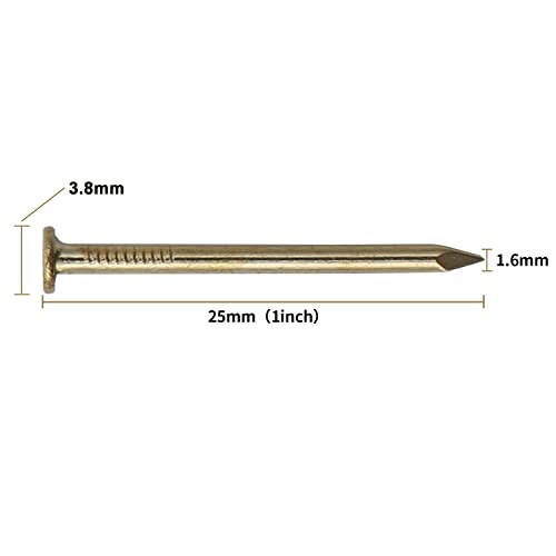 JEGONFRI 550PCS 1" x 16Ga Brass Plated Finishing Nails - color: Gold, size: 1 In , 550 Pcs