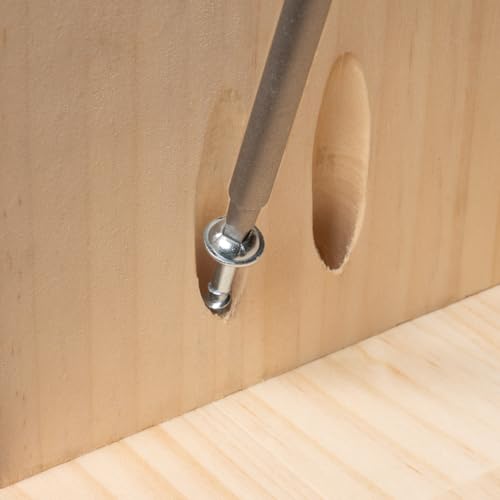 POWERTEC 150 PK Pocket Hole Screws, Maxi-Loc Head, #2 Square Drive, 1-1/4" Fine Thread for Pocket Hole Jig, Hardwood Cabinets & Furniture (72262) - style: 150PK 1-1/4" Fine Maxi-Loc Screws