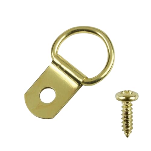 Taskar Brass D Rings & Screws for Picture Frame Hanging (10 Pack)