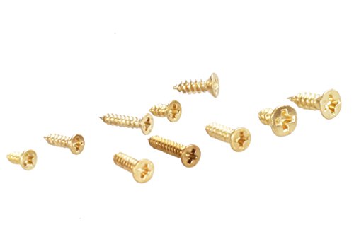 Brass Countersunk Head Wood Screw Assortment Kit,Pack of 500,Gold