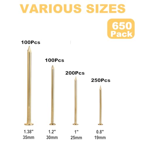 Gold Picture Hanging Nails Kit 650 Pcs - 4 Sizes Premium Galvanized Steel Wall Nails with Storage Box for Frames, Photos, Artworks - size: 650Pcs Gold Nails
