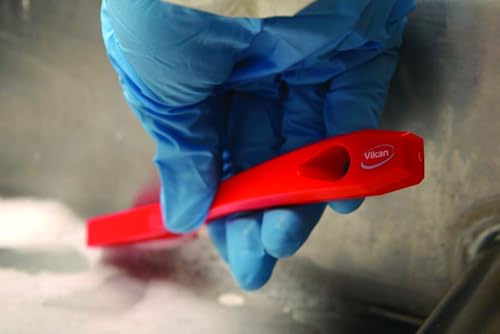 1/2 in W Detail Brush, Stiff, 5 1/2 in L Handle, 2 in L Brush, Red, Plastic, 8 in L Overall - 1 Each - color: Red