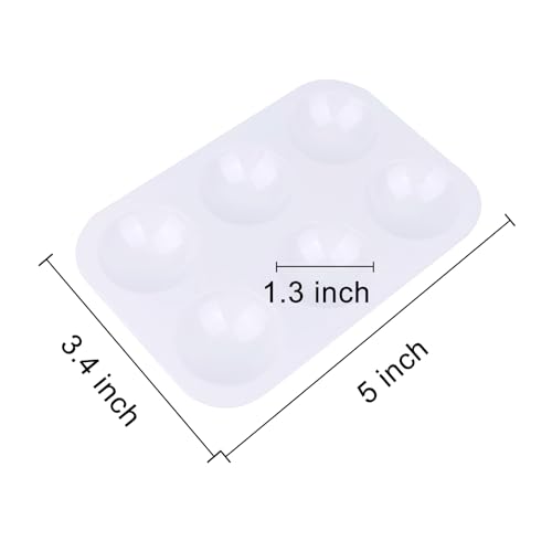 LNAUJS Paint Brush and Paint Tray Palette Set, 10 PCS Nylon Hair Brushes and 1 Pack 6 Well Plastic Paint Palette