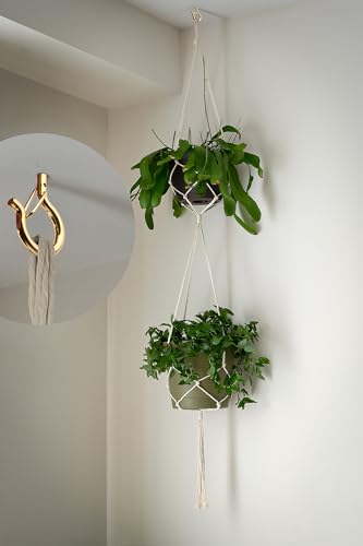 PlusRoc 20 Pack Screw Hooks for Hanging Plants Outdoor Lights(Gold) - color: Gold
