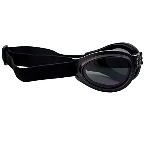 Birdz Eyewear Parrot Folding Padded Motorcycle Goggles Black Frame with Smoke Lens for Men & Women