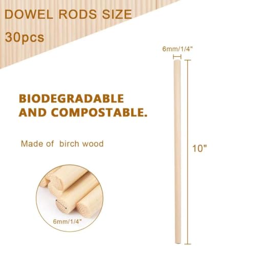 Dowel Rods Wood Sticks Wooden Dowel Rods - 30PCS 10 Inchx6mm- for Crafts and DIYers (Birch Wood1/4 Inch x 10")