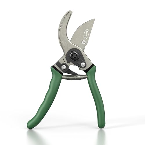 Scotts 2-Piece Pruning Tool Set – Includes 8 in. Bypass Pruning Shears for Live Plants and Soft Stems, and 7.5 in. Folding Saw for Cutting Thick Branches - style: Bypass Pruner & Folding Saw Set