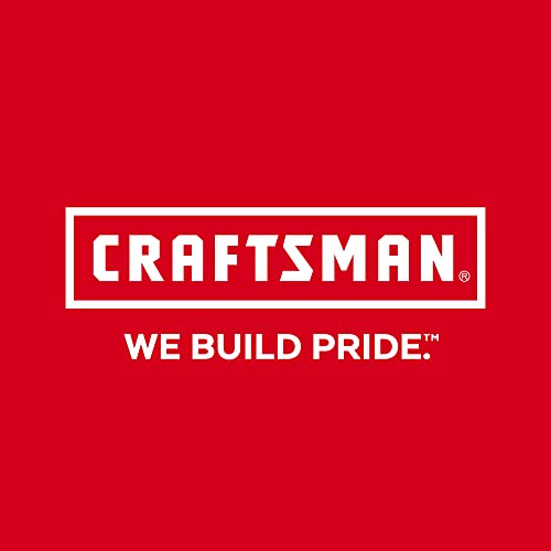 CRAFTSMAN Linesman Pliers, 9-5-Inch (CMHT81649) - size: 9.5-Inches