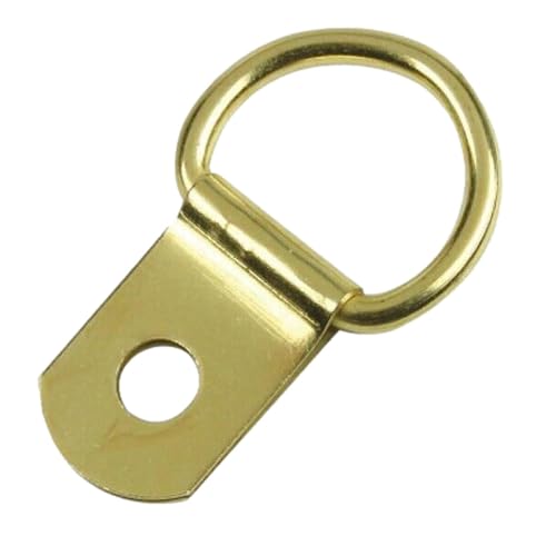 Taskar Brass D Rings & Screws for Picture Frame Hanging (10 Pack)