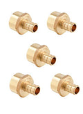 5Pc EFIELD 1/2"Pex x 1/2" Female NPT Thread Adapter(PEX1807035-5) - size: P5, style: 1/2" x 1/2"