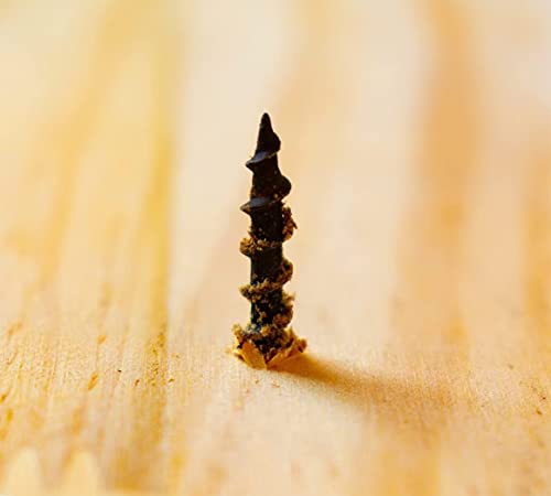 #6 x 1-5/8" Drywall Screws 225PCS Coarse Thread Wood Screws 1 LBS Flat Truss Head Self Tapping Screws Black Phosphate Coated Stainless Fast Self Tapping LZDRY-012 - color: 1 LB, size: #6x1-5/8