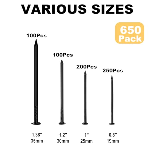 Nail for Hanging Pictures Assortment Kit - 650Pcs Small Nails, Finishing Nails, Hanging Nails, Picture Nails, Wall Nails for Hanging, Pin Nails - size: 650Pcs Black Nails