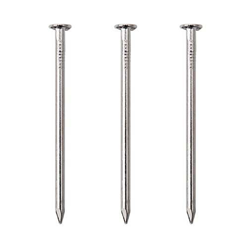 JEGONFRI 120pcs 2" Nickel Plated Nails for Hanging Pictures, Wood Nails - color: Silver, size: 2 In , 120 Pcs