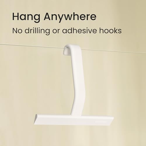 dancemoon JustHang Shower Squeegee with Built-in Hook, 10-Inch White - color: Classic White