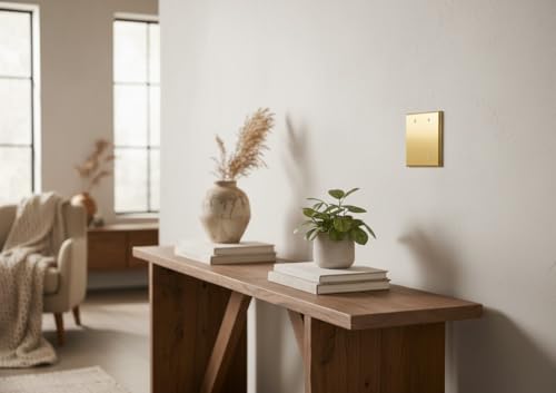 Rio Salto Metal Gold Double Blank Wall Plate, STANDARD SIZE, Blank Outlet Cover Corrosion Resistant Unused Outlets Wall Switch Two Gang Covers Child Safe Device Outlet Safety Genuine Brushed Brass - color: Blank Plate 2-Gang (1-Pack)