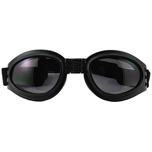 Birdz Eyewear Parrot Folding Padded Motorcycle Goggles Black Frame with Smoke Lens for Men & Women