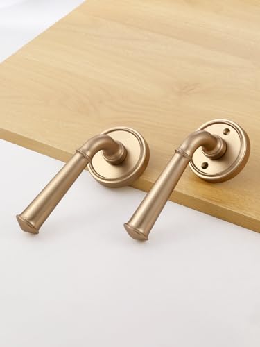 Door Handle Champagne Bronze Passage Door Door Lever, 1 Pack - color: Champagne Bronze