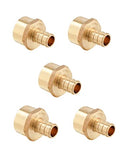 5Pcs EFIELD 3/4"PEX Fitting,3/4"Pex Female Adapter(PEX1807043-5) - size: P5, style: 3/4" x 3/4"