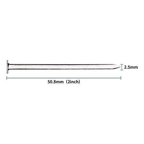 JEGONFRI 120pcs 2" Nickel Plated Nails for Hanging Pictures, Wood Nails - color: Silver, size: 2 In , 120 Pcs