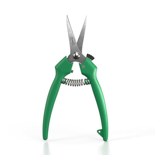 Scotts Straight Tip Floral Shears - Ultra Sharp Lightweight Gardening Scissors - Hand Pruner Pruning Shear for Flowers, Herbs, Roses and Indoor Plants - style: Floral Shears