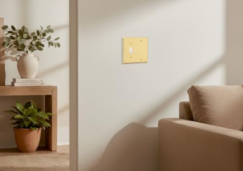 Rio Salto Metal Gold Outlet Cover or Light Switch Cover Wall Plate, Corrosion Resistant Combination Receptacle Wallplate Covers 2 Gang Single Gang Standard Size Brushed Brass (Blank Toggle Combo) - color: Combo 2-Gang Blank Toggle