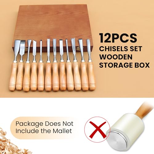 HiSnug Wood Carving Chisel Set - 12pcs Carving Tools Kit with Wooden Case Box, Sharp Alloy Steel Blades Woodworking Knives for Beginners and Professionals