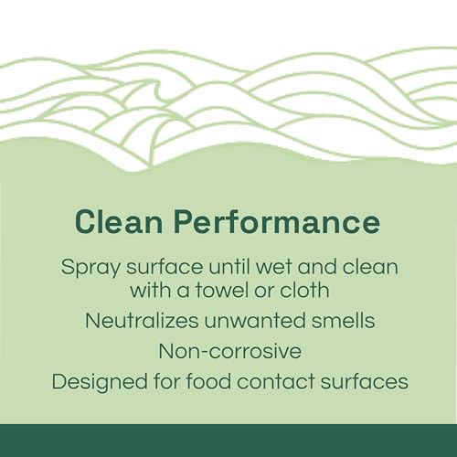 All-Purpose Cleaner, Hypochlorous Acid Spray, Non-Toxic, 32oz Spray, 2-Pack - size: 32 Fl Oz (Pack of 2)
