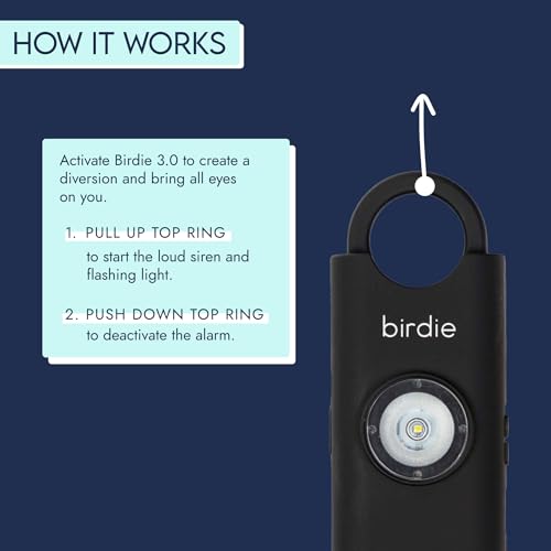 She’s Birdie 3.0 New Version – The Original Personal Safety Alarm for Women by Women–Loud Siren, Flash Light and Rechargeable Battery in a Variety of Colors (Charcoal Black) - color: Charcoal Black