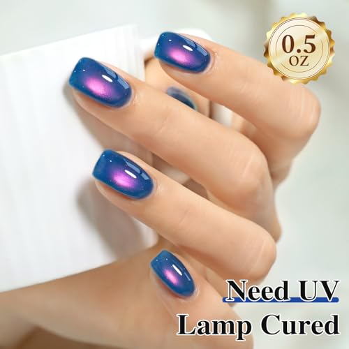 Double Rhythm Jelly Glass Cat Eye Gel Polish with Magnet 15ML Holographic Glitter Shimmer Translucent Sheer Color Magnetic Nail Polish Salon DIY at Home (Navy Blue-MC1264) - color: Aurora Blue Purple