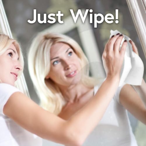 Windex Wipes Glass Cleaning, Pre-Moistened Glass and Surface Wipes to Clean Home Surfaces, Household Essentials, Original Scent, 38 Count (Pack of 2) - size: 38 Count (Pack of 2)