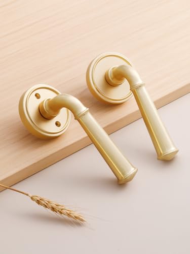 Door Handle Brushed Gold Passage Door Lever Gold DoorHandle, 1 Pack - color: Brushed Gold