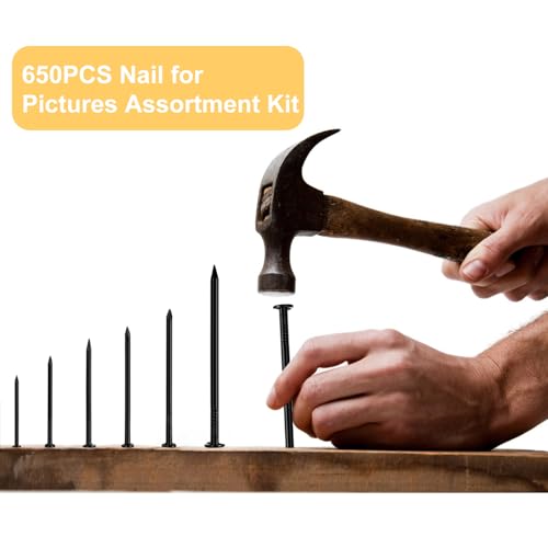 Nail for Hanging Pictures Assortment Kit - 650Pcs Small Nails, Finishing Nails, Hanging Nails, Picture Nails, Wall Nails for Hanging, Pin Nails - size: 650Pcs Black Nails