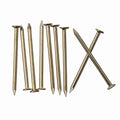 JEGONFRI 240PCS 1-1/2" x 14Ga Brass Plated Nails for Hanging Pictures - color: Gold, size: 1-1/2 In , 240 Pcs