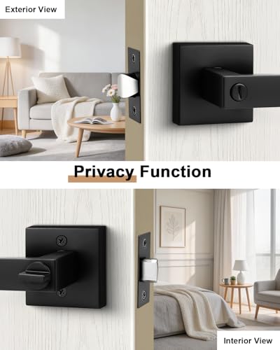 Probrico Interior Privacy Door Lever Handles with Lock, Matte Black 10 Pack Bedroom & Bathroom Zinc Alloy Lockset - color: Matte Black