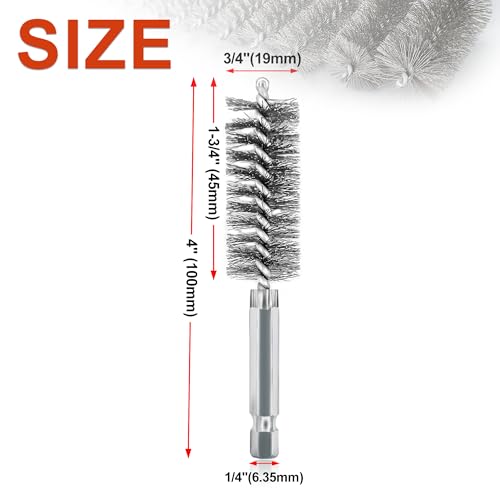 5Pcs 3/4" Stainless Steel Wire Bore Brush for Power Drill Cleaning - size: 19mm | 3/4"