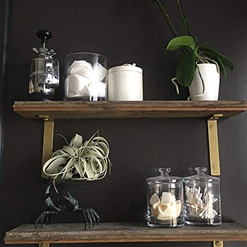 Shelf Brackets 12 Inch L Brackets for Shelves Heavy Duty White Wall Brackets for Shelves 5mm Thick Metal Bracket Support for Shelf with Screws - size: 12 Inch, style: White-8 Pack