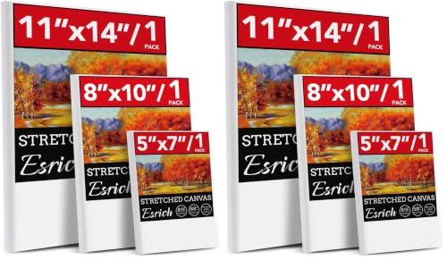 6 Pack Canvases for Painting with Multi Pack 11x14, 5x7, 8x10, Painting Canvas for Oil & Acrylic Paint - size: 6 Packs - 3 Sizes (1 of Each)