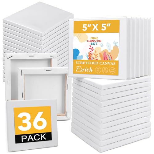 ESRICH Small Canvas Pack of 36, 5x5In Blank Canvases for Painting, Home Decor Projects - size: 5x5in-36 Packs