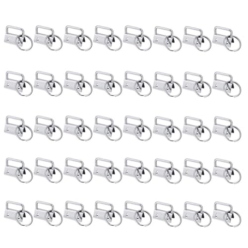 sansheng 60 Pack Key Fob Hardware 1 inch, Keychain for Making Key Chains (Silver)