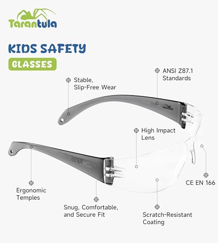 Tarantula 6 Pack Kids Safety Glasses, Youth Protective Eyewear & Goggles