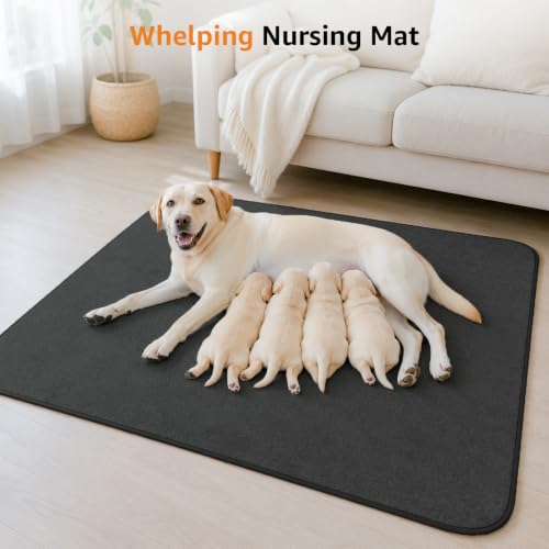 LOOBANI 2 Packs Extra Large Reusable Dog Mat for Floor, Non-Slip Washable Pee Pads for Dogs, Fast Absorbent Pet Whelping Pads, Puppy Playpen Mat for Incontinence, Housebreak, Crate, 36"x48", Gray - size: 36"*48"(Pack of 2) Gray