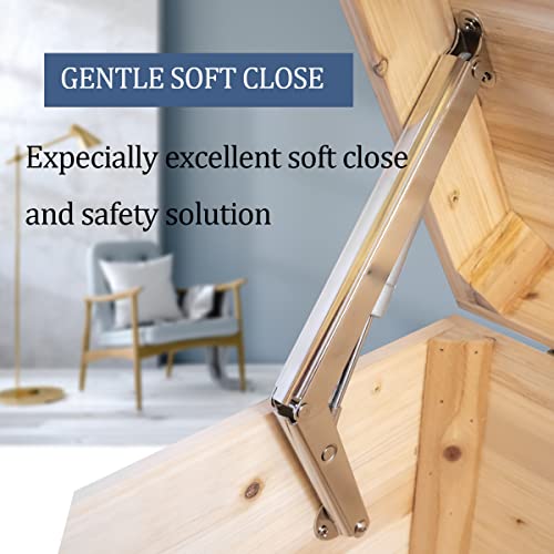 200N-60lbs Chest Heavy Duty Soft Close Lid Support Hinges Large & Long Chest Hinges for Wooden Box, Slow Lowering Pneumatic Heavy Lid Lifter Gas Struts