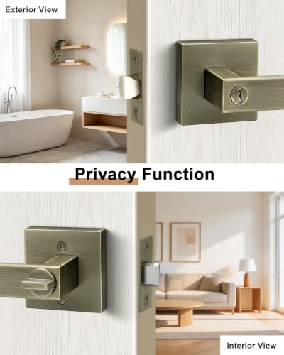Probrico Privacy Interior Door Handles 6 Pack, Antique Brass Heavy Duty Locking Zinc Alloy Levers for Bedroom & Bathroom - color: Antique Brass